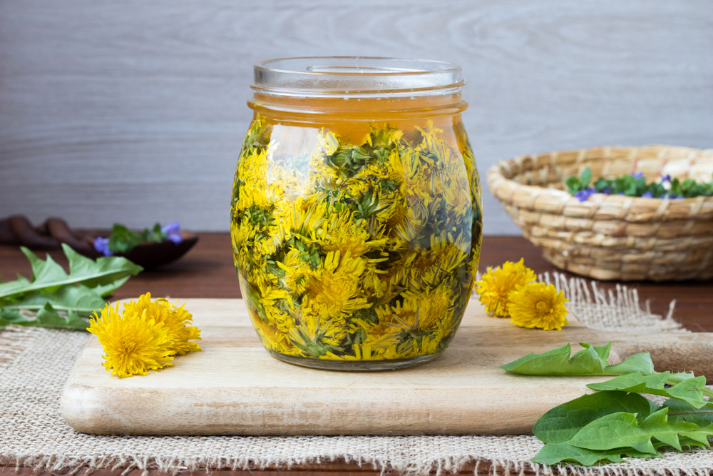 pampeliškový sirup bez vaření