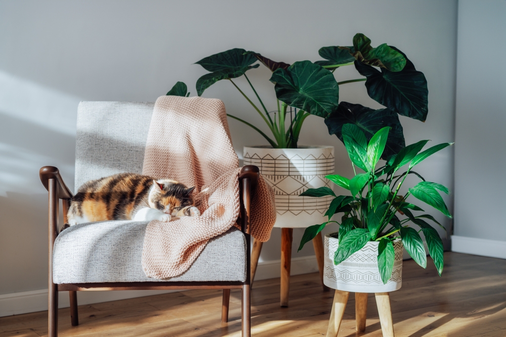 hygge styl