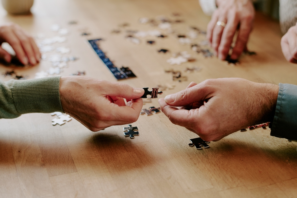 párové skládaní puzzle