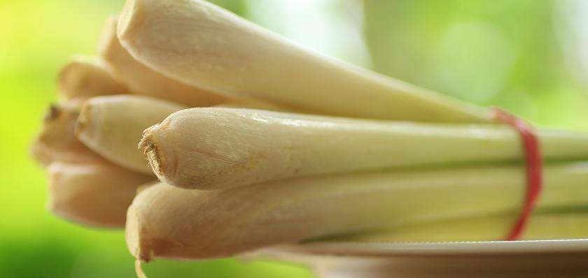 cibulky lemon grass