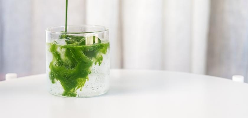 matcha tonic recept