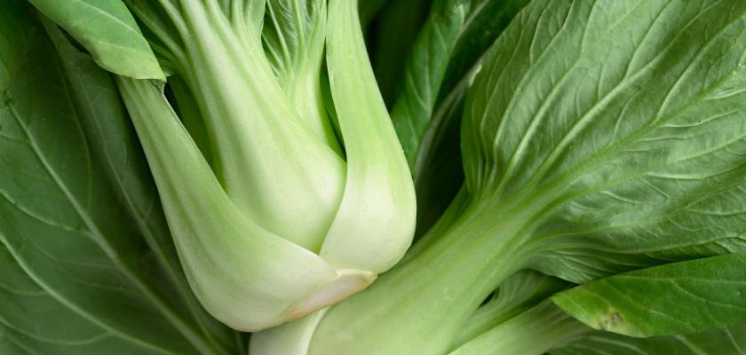 listy pak choi