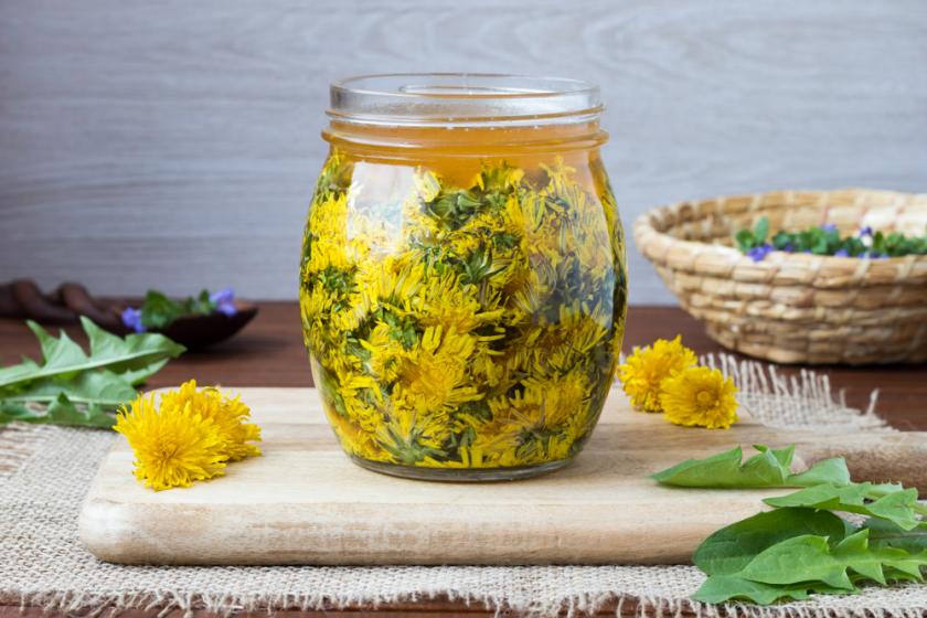pampeliškový sirup bez vaření