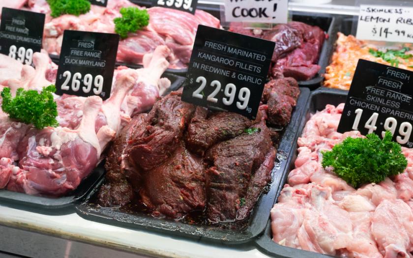 klokan v supermarketu