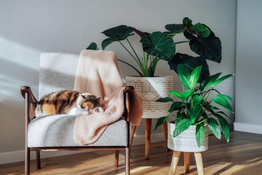 hygge styl