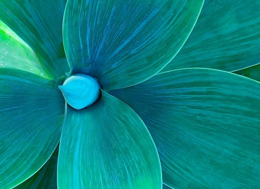 transformative teal