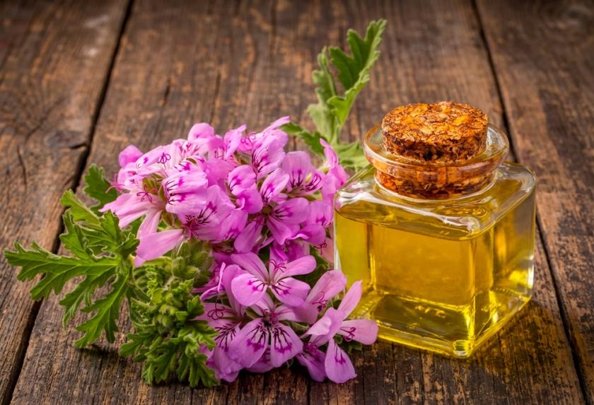 vůně geranium